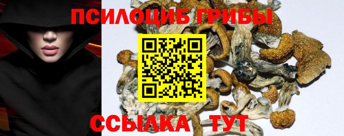 наркошоп  Псилоцибиновые грибы MAGIC MUSHROOMS  Вход с VPN  Кропоткин  Галлюциногенные грибы Magic Shrooms 